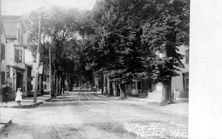 Cabot Street looking north from West Dane Street. 300 Cabot is seen on the left side of the street.
